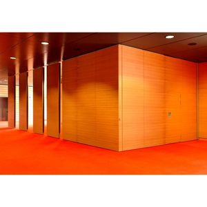 Lyon  Cité Internationale "Salle 3000" (2006)_3