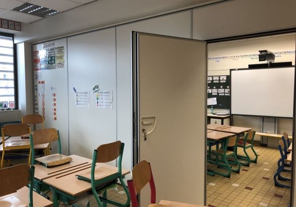Wallon School Group (2019)